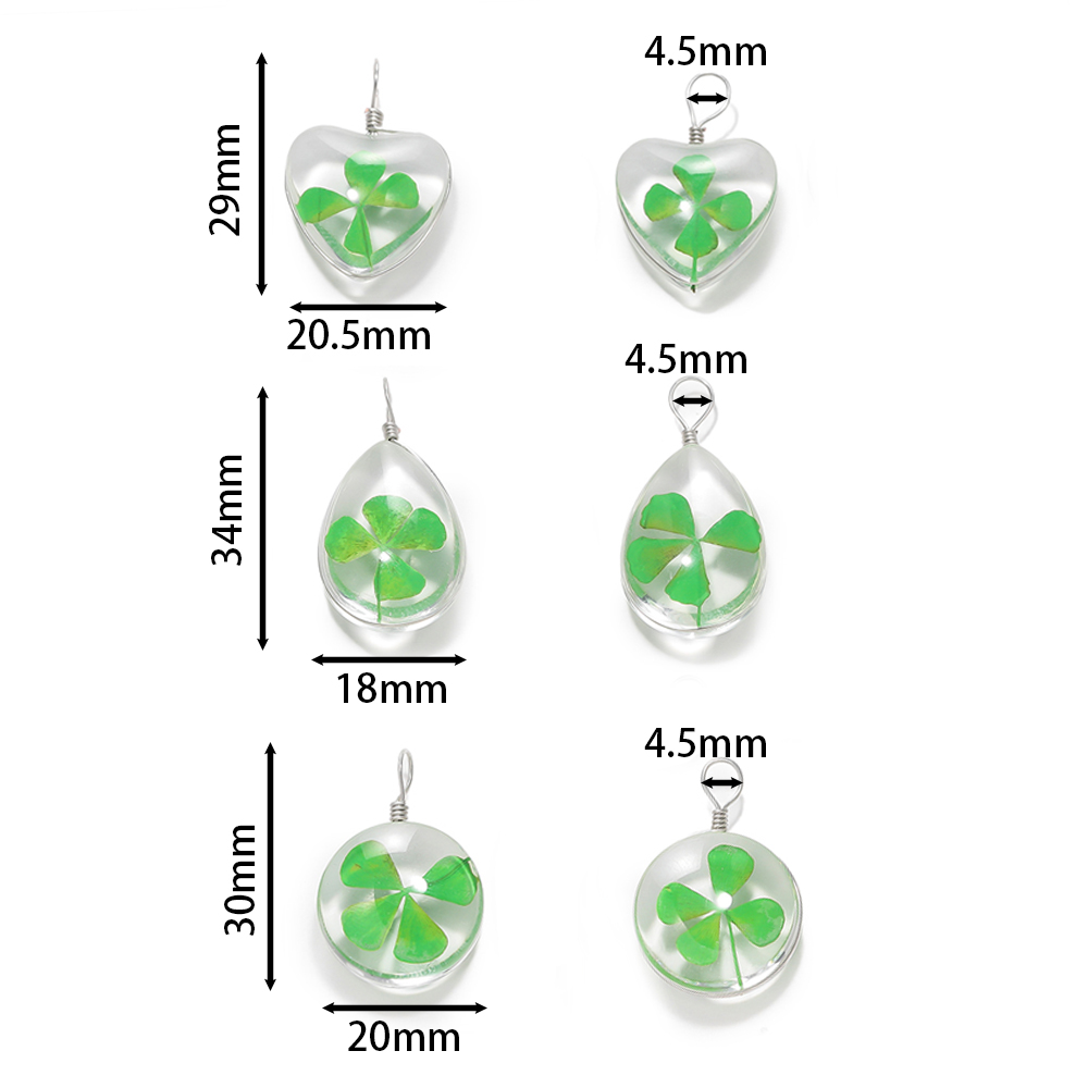 5 adet Yeşil Şanslı Dört Yapra - Red Clover Flower incelemesi ve fiyatı