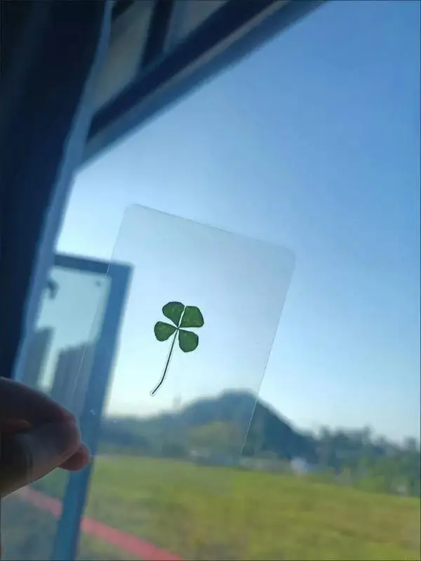 Yeni 5 Adet Doğal Kurutulmuş Y - Red Clover Flower incelemesi ve fiyatı